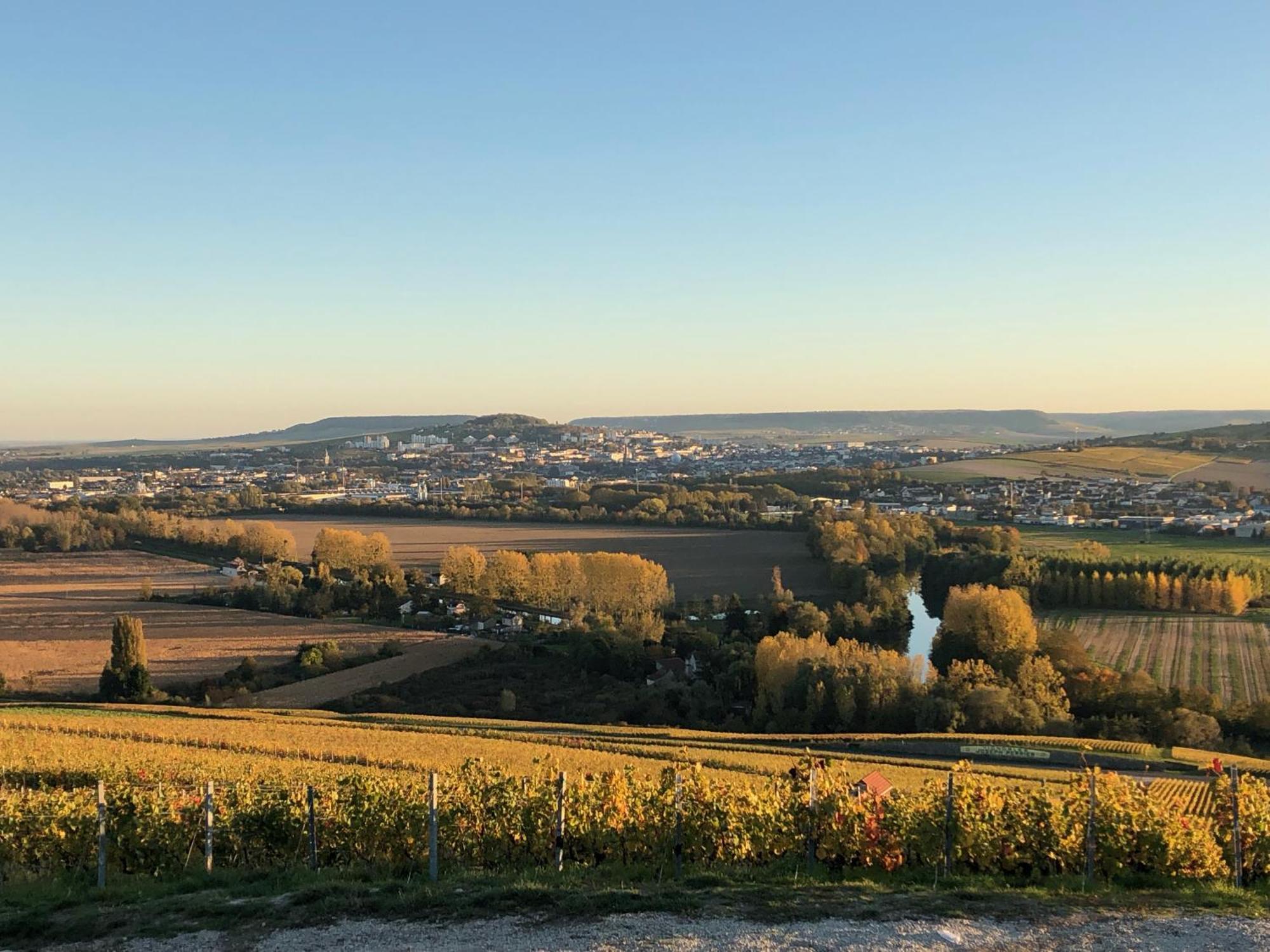 Maison Et Jardin A Epernay Centre Ville Zewnętrze zdjęcie